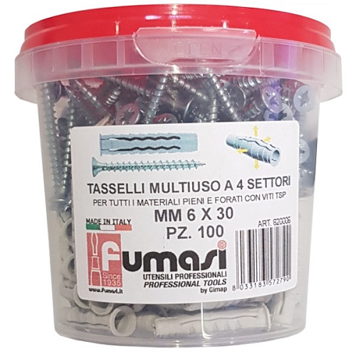 Barattolo 100 Tasselli 6x30 + 100 Viti 6